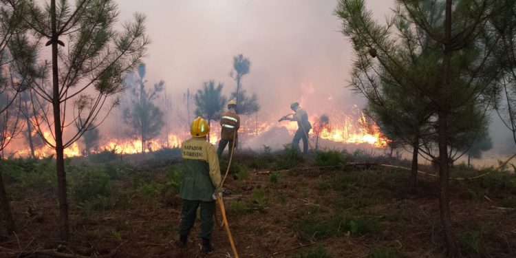 Oliveira do Hospital é o segundo concelho do distrito com maior número de incêndios