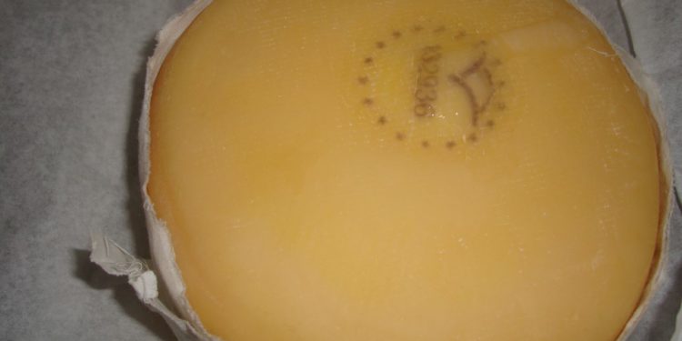 Concurso Gastronómico “Com Queijo Serra da Estrela”: inscrições abertas