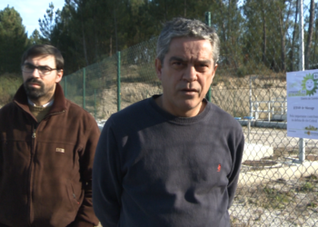Verdes atribuíram “girassol triste” a várias situações que põem em causa ambiente
