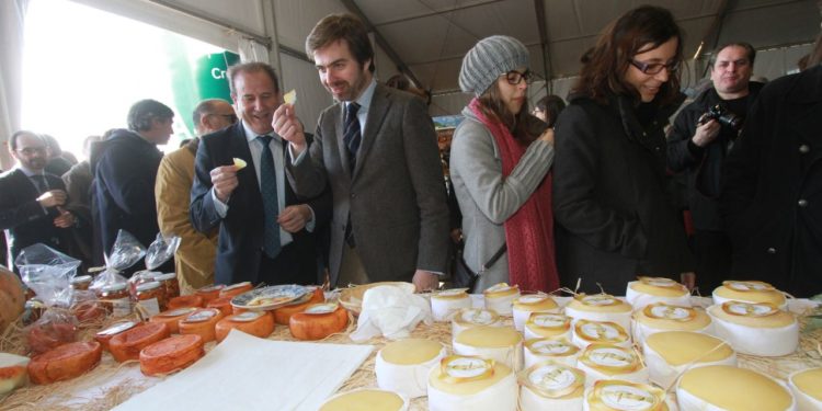 Oliveira do Hospital prova com a Feira do Queijo que é uma “cidade na moda”