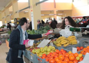 Tábua lança roteiro informativo sobre mercado municipal