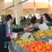 Tábua lança roteiro informativo sobre mercado municipal