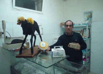 Produtores de queijo Serra da Estrela começam a acreditar na renovação do setor