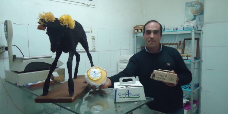 Produtores de queijo Serra da Estrela começam a acreditar na renovação do setor