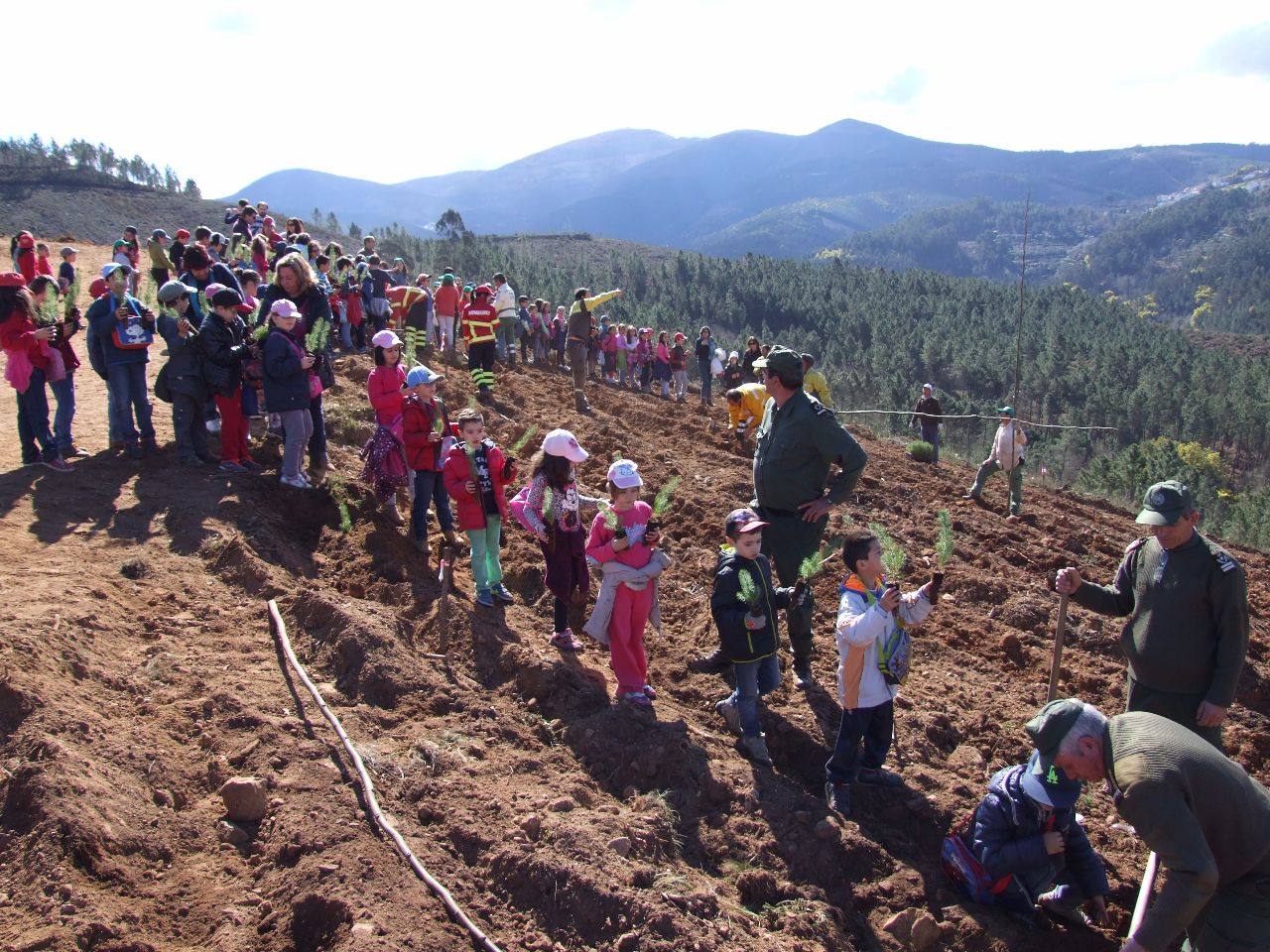 Município de Oliveira do Hospital aposta na plantação de floresta autóctone
