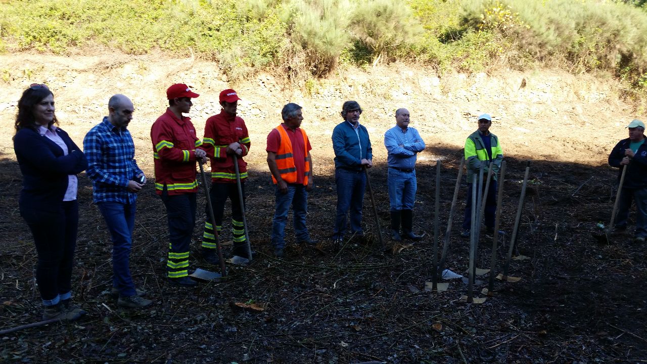 Junta de Freguesia de Aldeia das Dez antecipa Festa da Castanha com plantação de 60 castanheiros