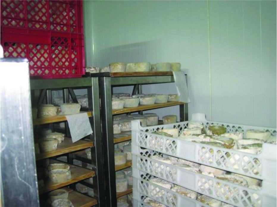 ASAE apreende 5900 kg de queijo na “Quinta da Rigueira” em Meruge