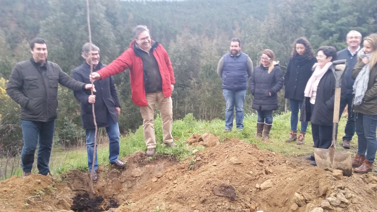 Quercus e FNAPF assinalaram Dia Mundial da Árvore em Oliveira do Hospital