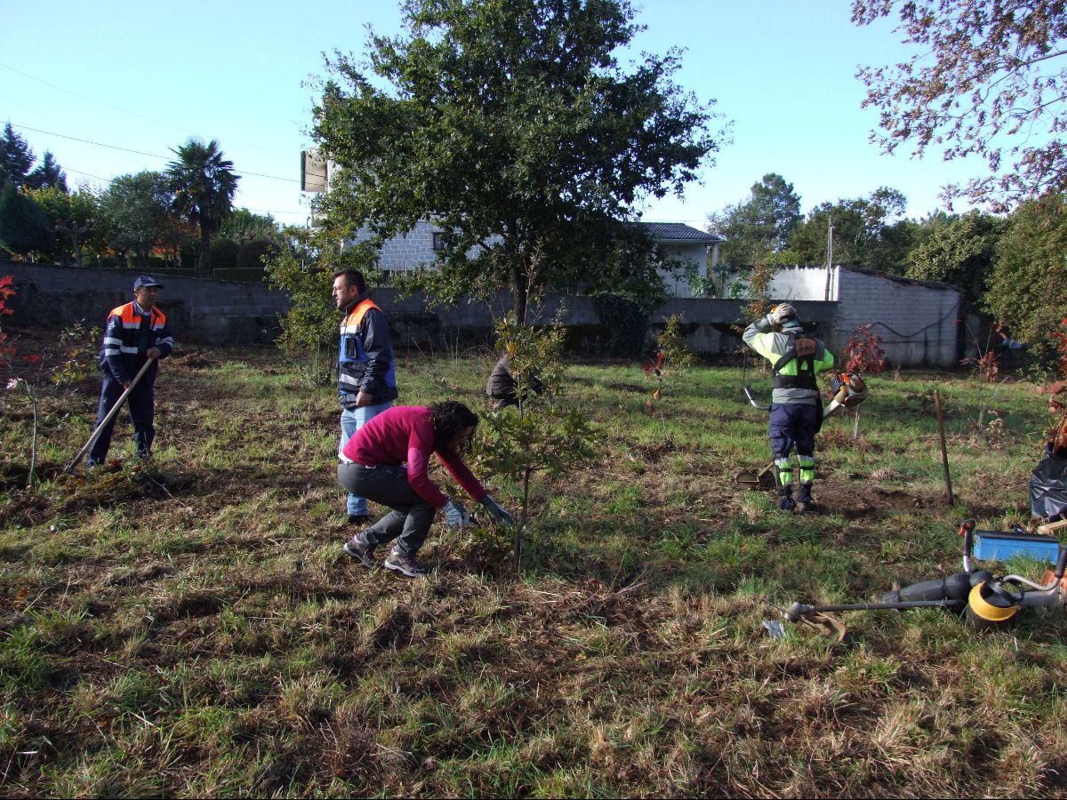 Município de Oliveira do Hospital investe na floresta