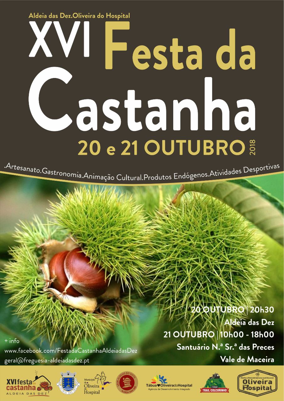 Cartaz Festa da Castanha Geral 2018