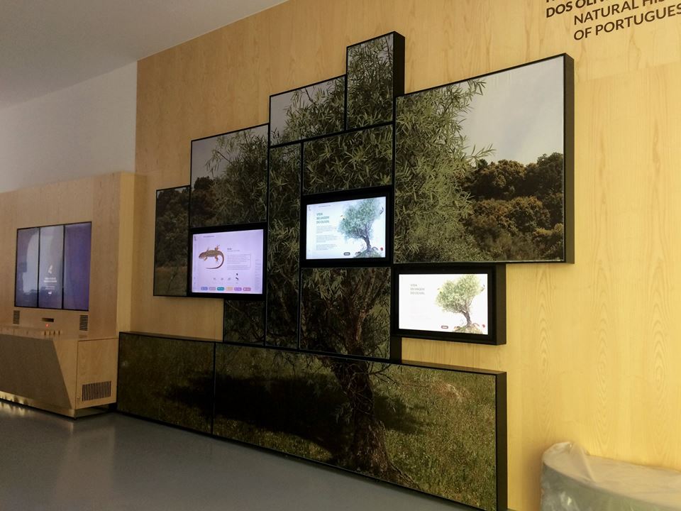 multimedia