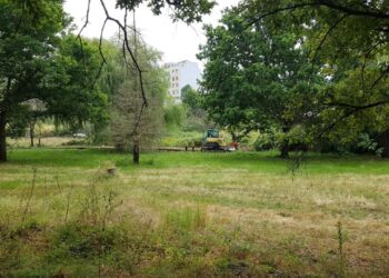 Câmara Municipal de Oliveira do Hospital vai dar nova vida ao Parque dos Marmelos