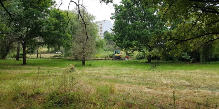 Câmara Municipal de Oliveira do Hospital vai dar nova vida ao Parque dos Marmelos