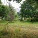 Câmara Municipal de Oliveira do Hospital vai dar nova vida ao Parque dos Marmelos