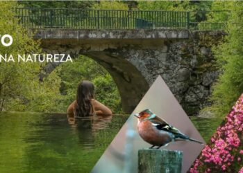 Empresários do território das Aldeias de Montanha reclamam “discriminação positiva” nos apoios à hotelaria e restauração