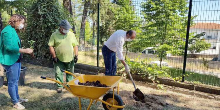 Município assinalou Dia Mundial do Ambiente com inauguração de compostor comunitário no Parque do Mandanelho
