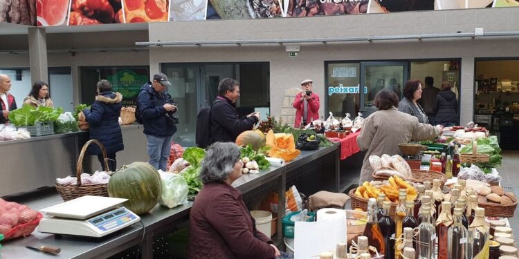 Mercado “Da Nossa Terra” em Oliveira do Hospital completa 10 anos de existência