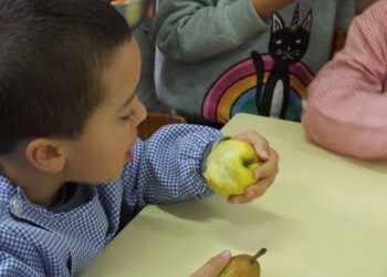 Município de Oliveira do Hospital distribui fruta aos alunos
