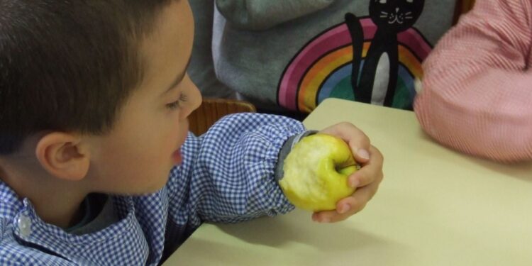 Município de Oliveira do Hospital distribui fruta aos alunos