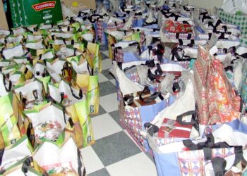Município de Oliveira do Hospital apoia famílias com Complemento Alimentar Natalício
