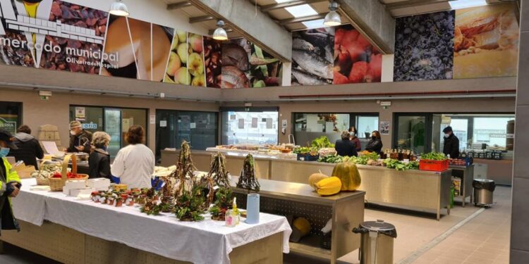 Mostra “Da Nossa Terra” acontece no próximo sábado