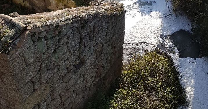Os Verdes Insistem na Urgente Monitorização da Qualidade da Água do Rio Cobral