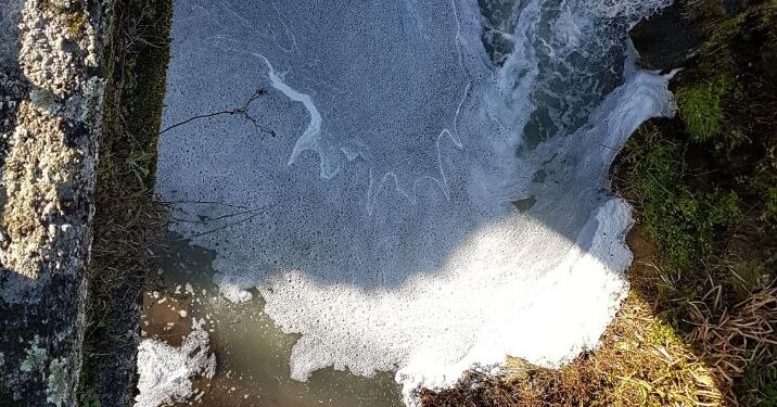 Os Verdes Insistem na Urgente Monitorização da Qualidade da Água do Rio Cobral