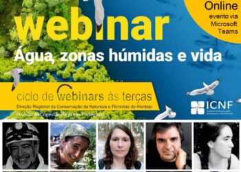 Europe Direct Região de Coimbra promove webinar sobre oportunidades para os jovens