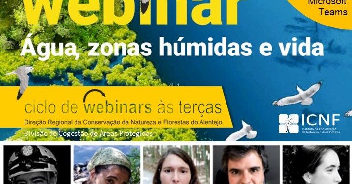 CIM Região de Coimbra integra painel de comemoração do Dia Mundial das Zonas Húmidas