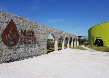 Museu do Azeite assinalou dois anos de atividade com olhos postos no futuro