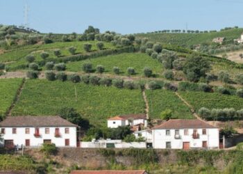 Grupos de Ação Local apresentam contributos para a estratégia integrada da CIM Região de Coimbra