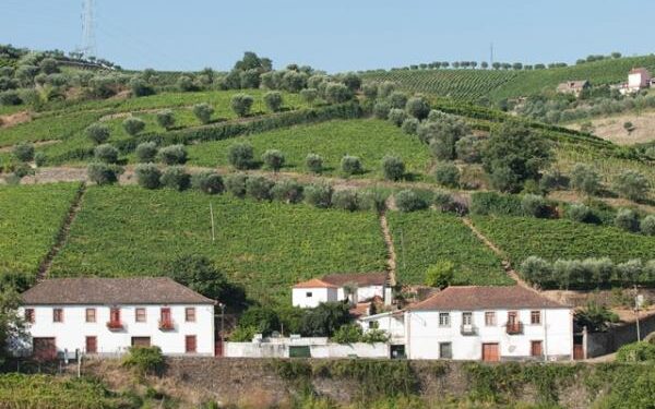 Grupos de Ação Local apresentam contributos para a estratégia integrada da CIM Região de Coimbra