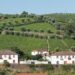Grupos de Ação Local apresentam contributos para a estratégia integrada da CIM Região de Coimbra