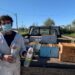 Município de Oliveira do Hospital instalou armadilhas para vespa asiática
