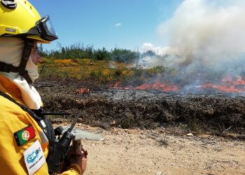 CIM Região de Coimbra integra projeto transfronteiriço de prevenção de incêndios rurais