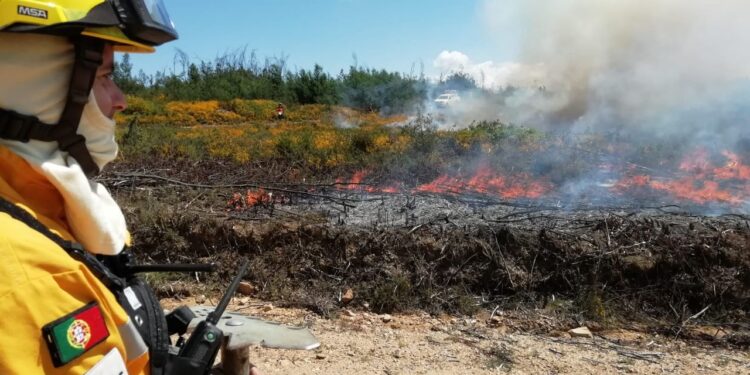CIM Região de Coimbra integra projeto transfronteiriço de prevenção de incêndios rurais