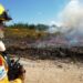 CIM Região de Coimbra integra projeto transfronteiriço de prevenção de incêndios rurais