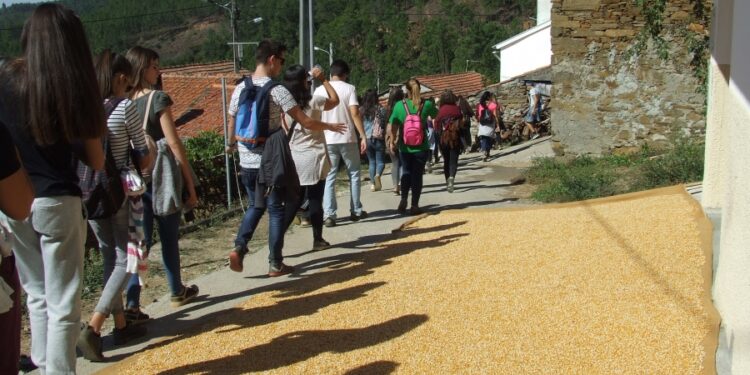 Coligação PPD/PSD.CDS-PP inaugurou sede de campanha