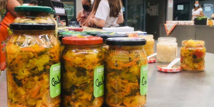 Mostra Da Nossa Terra com novos produtos em banca
