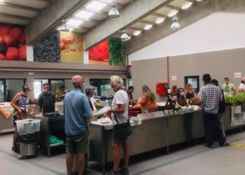 Mostra Da Nossa Terra com novos produtos em banca