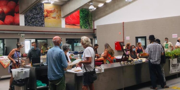 Mostra Da Nossa Terra com novos produtos em banca