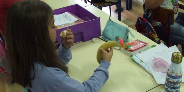 Município de Oliveira do Hospital distribui fruta aos alunos para uma “Escola + Saudável”