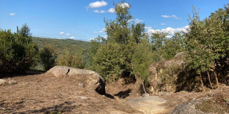 TÁBUA – Requalificação do troço da Via Romana da Pedra da Sé