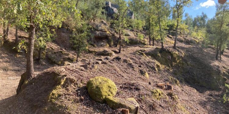TÁBUA – Requalificação do troço da Via Romana da Pedra da Sé