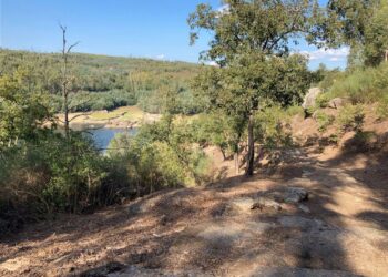 TÁBUA – Requalificação do troço da Via Romana da Pedra da Sé