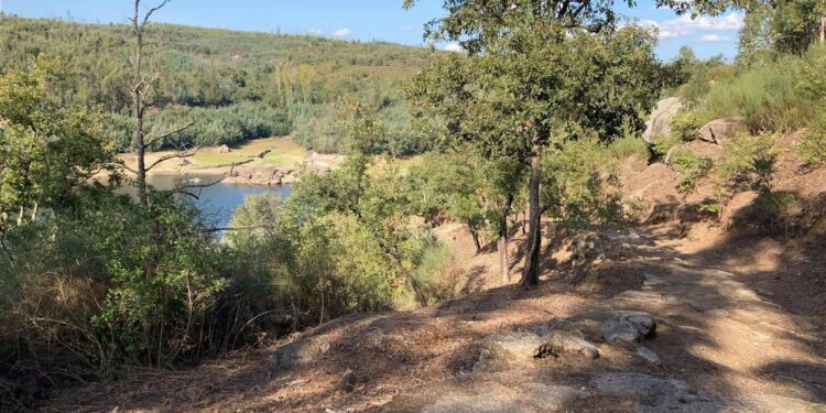 TÁBUA – Requalificação do troço da Via Romana da Pedra da Sé