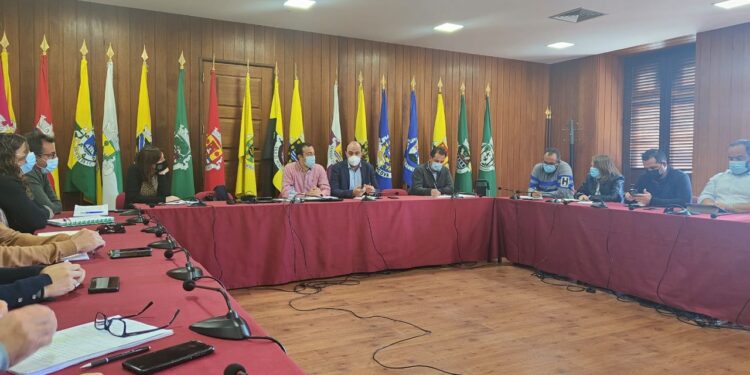CIM Região de Coimbra discute novo sistema de gestão integrada de fogos rurais e articula a implementação do projeto de combate à vespa velutina
