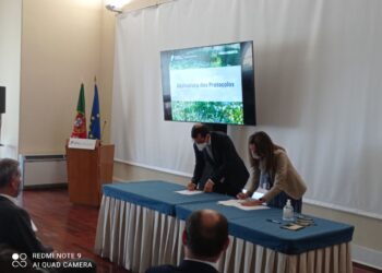 CIM Região de Coimbra e Fundo Ambiental celebram protocolo de 100 mil euros para o controlo de espécies exóticas invasoras