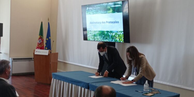 CIM Região de Coimbra e Fundo Ambiental celebram protocolo de 100 mil euros para o controlo de espécies exóticas invasoras