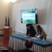 CIM Região de Coimbra e Fundo Ambiental celebram protocolo de 100 mil euros para o controlo de espécies exóticas invasoras